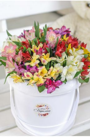 Гіпсофіли букети витонченість та елегантність